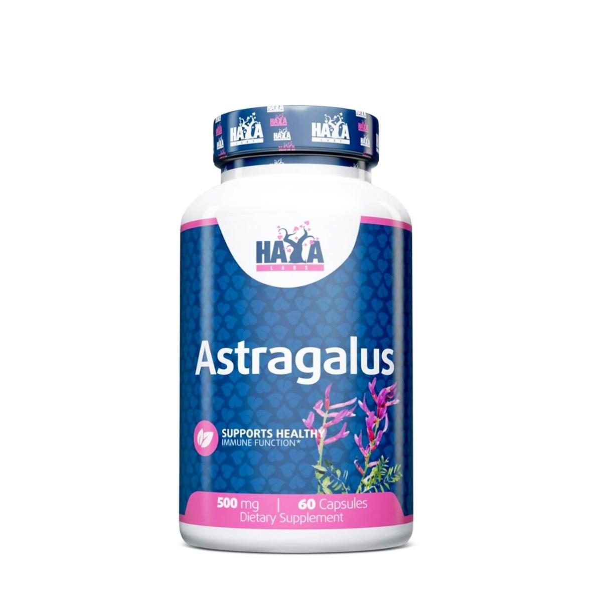 HAYA Astragalus 51 mg 60/1
