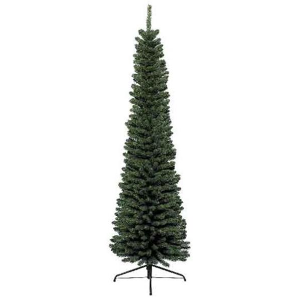 Novogodišnja jelka Pencil Pine (210 grana) - 120cm