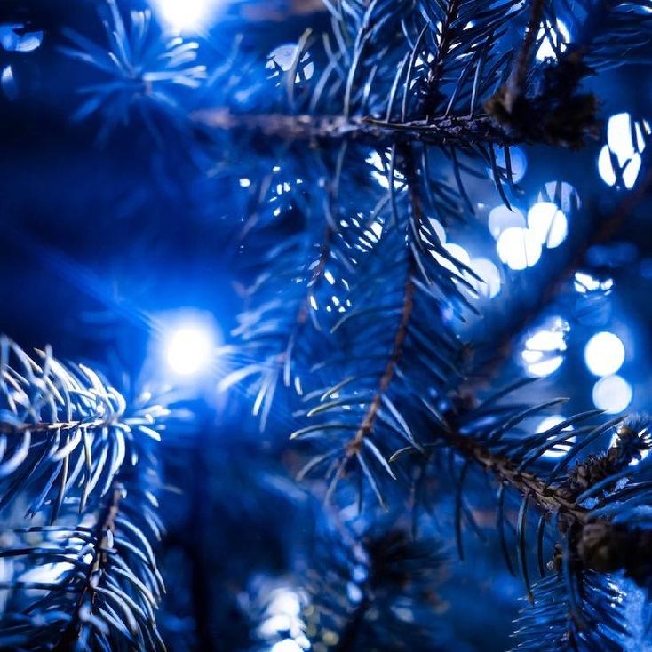 Selected image for Novogodišnje sijalice za jelku 20m, Plave