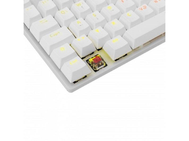 Selected image for WHITE SHARK GK 2106 Commandos Gaming tastatura, US, Bela