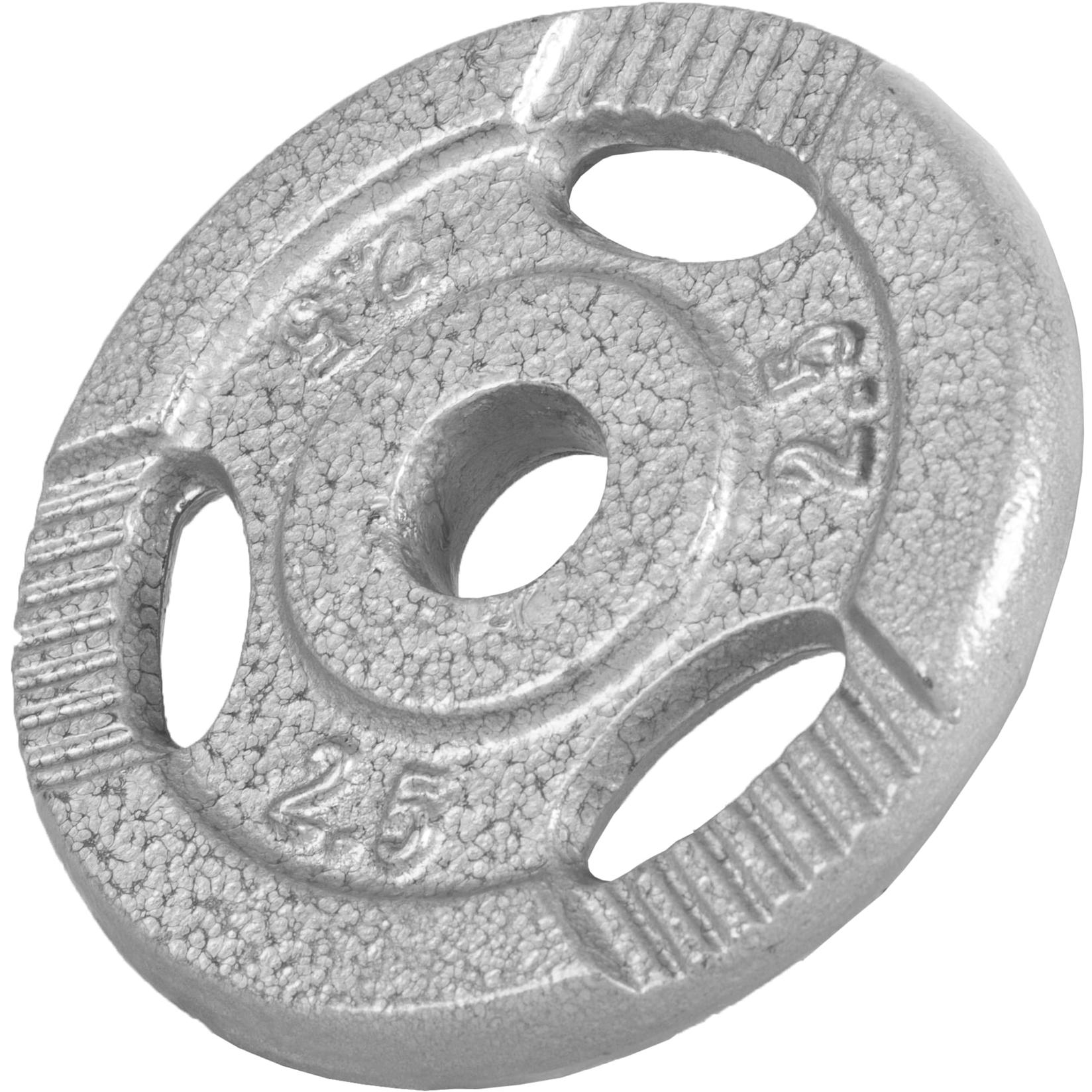 Selected image for GORILLA SPORTS Disk 2.5kg 30mm sivi