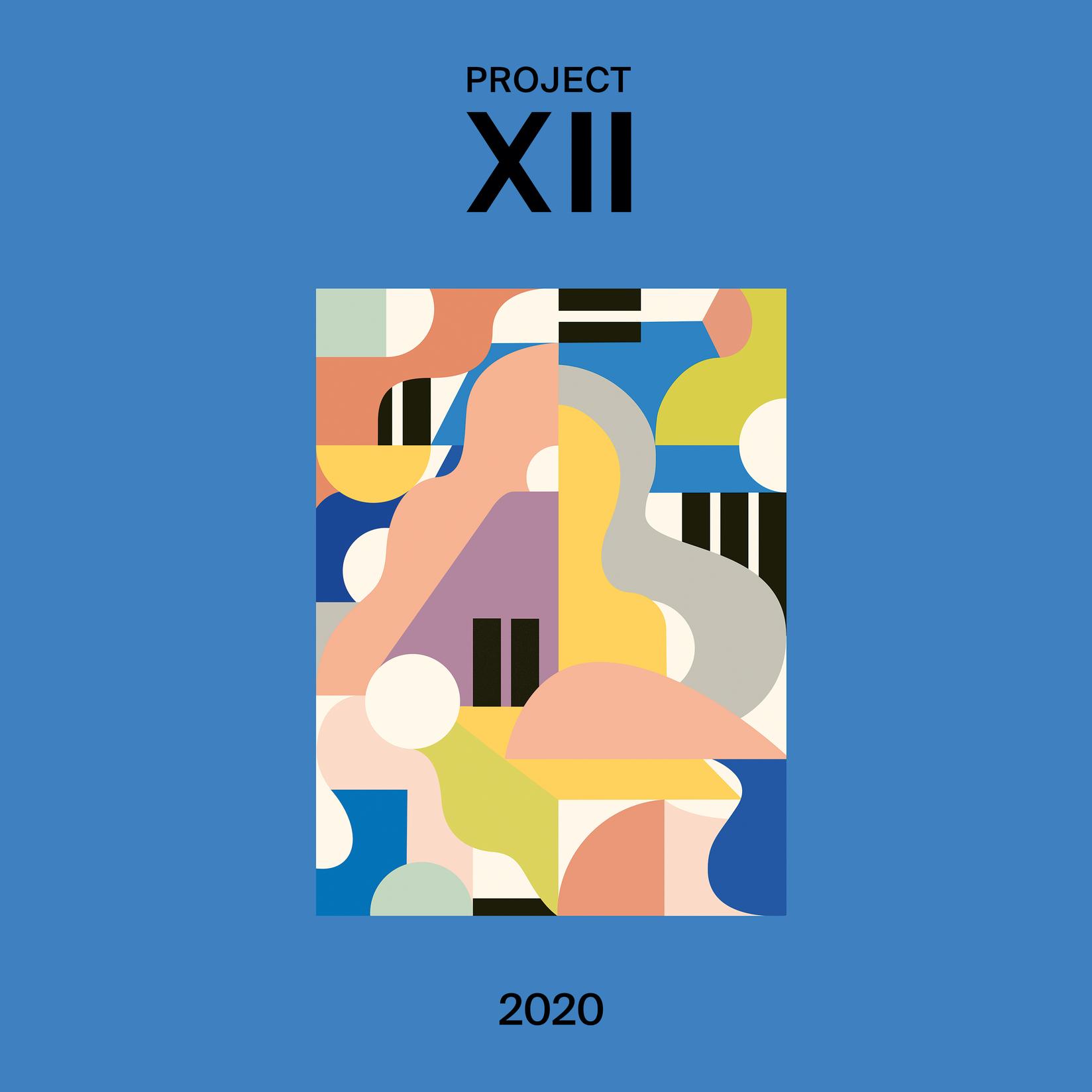 VARIOUS ARTISTS - Project XII - 2020.
