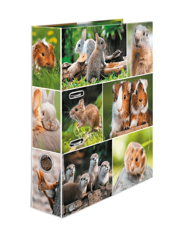 HERMA Registrator Animal world Rabbits 285x315x70mm šareni