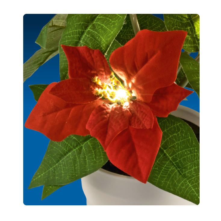 Selected image for HOME Božićna zvezda ukrasno cveće sa LED diodama
