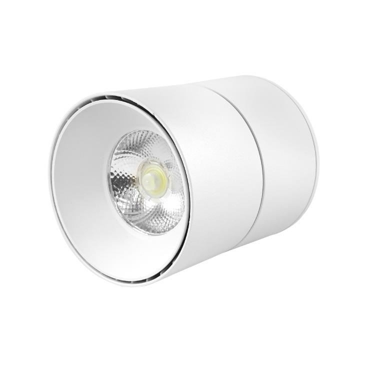 Selected image for PROSTO Nagibna LED lampa 20W dnevno svetlo LDL-ND2-20/W-WH