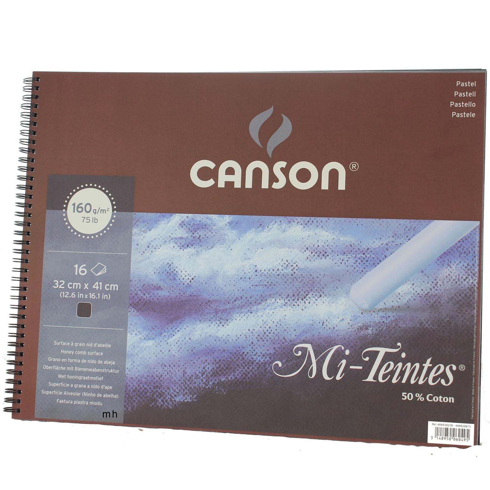 Selected image for CANSON Blok 32x41cm 160g Mi-teintes 400030228