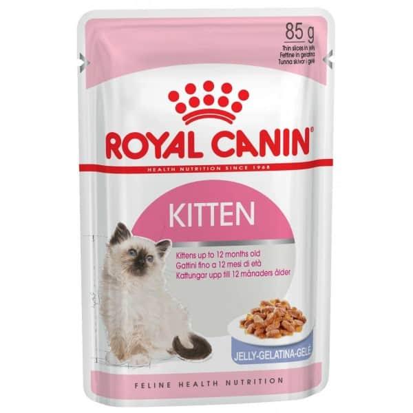 Royal Canin Kitten Jelly Vlažna hrana za mačiće, 85g