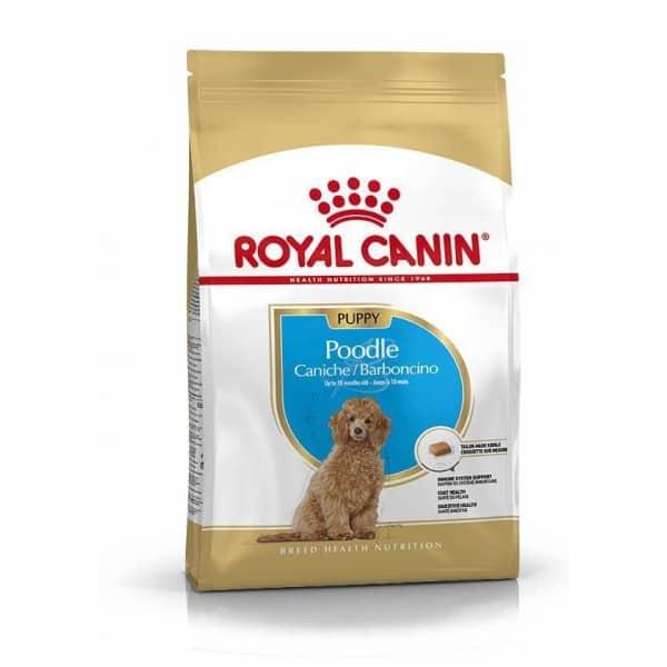 Royal Canin Puppy Poodle Hrana za štence, 500g