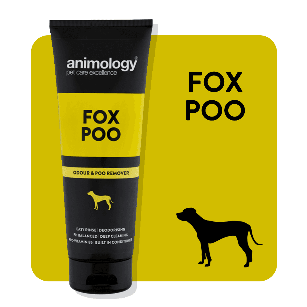 ANIMOLOGY Šampon za pse FOX POO 250ml