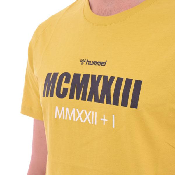 Selected image for HUMMEL Muška majica Naesten T-Shirt S/S T911523-2119 žuta