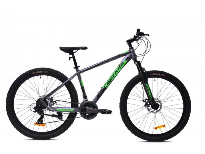 CAPRIOLO Bicikl MTB OXYGEN 27.5''/21HT sivi