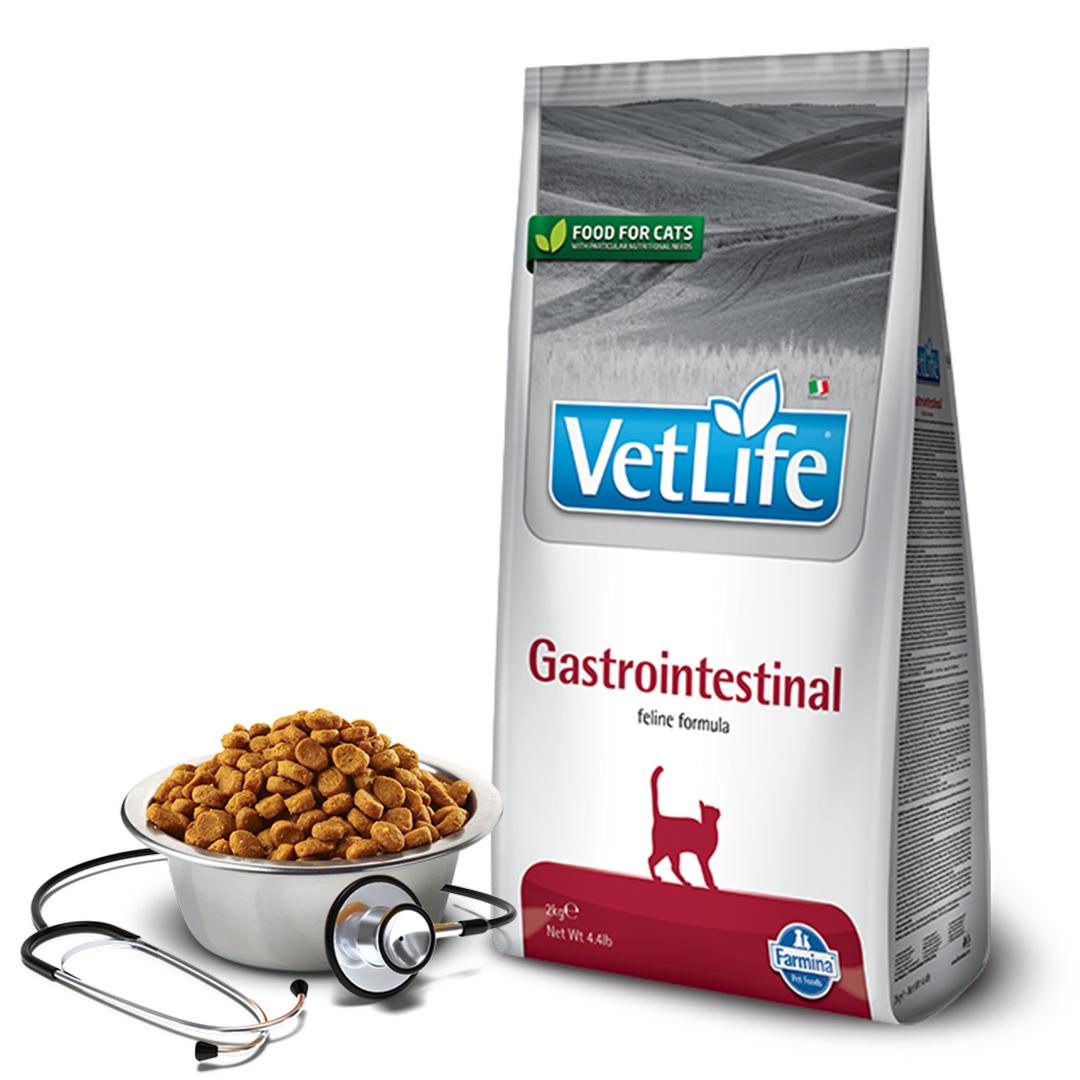 VET LIFE Medicinska hrana za mačke Gastrointestinal 2kg