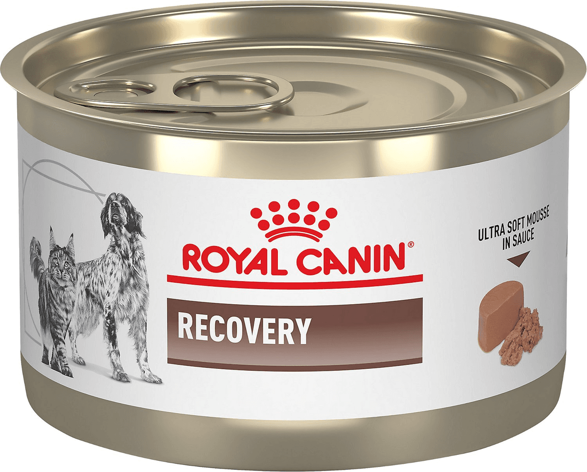 ROYAL CANIN Veterinarska dijeta za mačke i pse Recovery 195g
