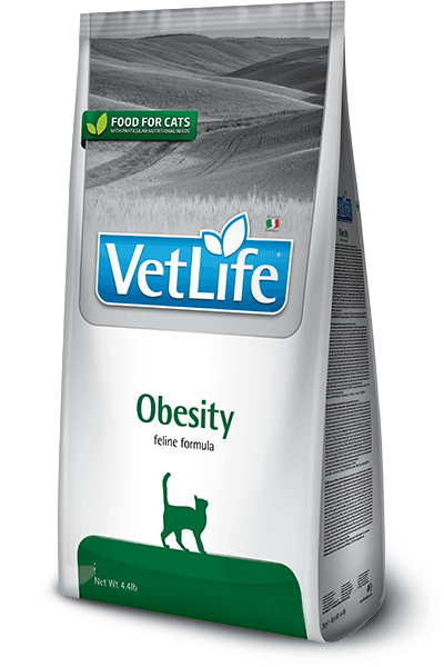 Selected image for VET LIFE Medicinska hrana za gojazne mačke Obesity 400g