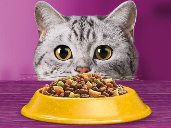 Selected image for WHISKAS Suva hrana za odrasle mačke, Piletina, 1.4kg