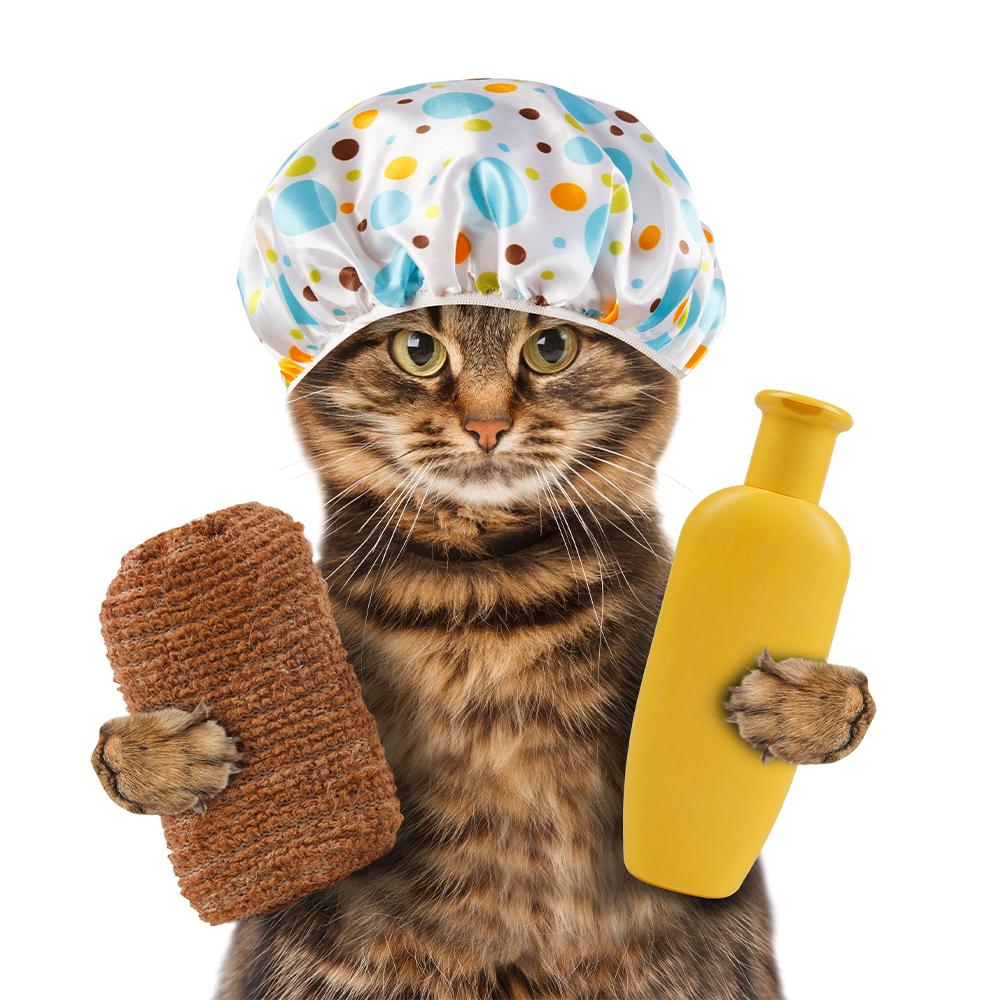 Šamponi i regeneratori za mačke