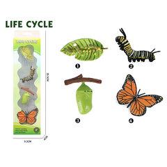 1 thumbnail image for Igračka Životni ciklus leptira iz 4 dela