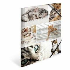 0 thumbnail image for HERMA Plastificirana fascikla sa gumicom Cats 240x320x15mm šarena