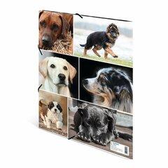 1 thumbnail image for HERMA Plastificirana fascikla sa gumicom Dogs 240x320x15mm šarena