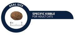1 thumbnail image for Advance Cat Adult Sensitive Salmon 1.5 KG