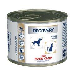 0 thumbnail image for ROYAL CANIN Dijetalna hrana za pase i mačke Recovery 195g
