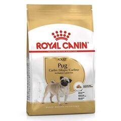 0 thumbnail image for ROYAL CANIN Suva hrana za pse Adult Mops 1.5kg