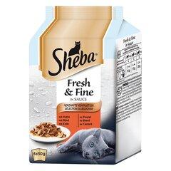 0 thumbnail image for SHEBA Vlažna hrana za mačke sa mesom Fresh&Fine Multipack 50g 6/1