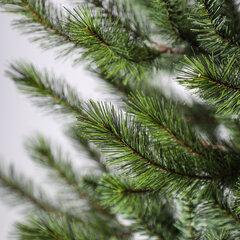 1 thumbnail image for Novogodišnja jelka PVC Narrow Pine 210cm