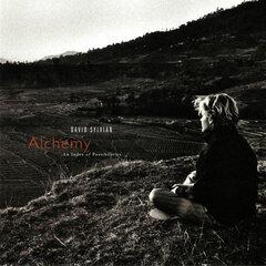 0 thumbnail image for DAVID SYLVIAN - Alchemy: An Index Of Possibilities (Remastered LP)