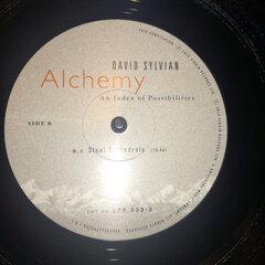 4 thumbnail image for DAVID SYLVIAN - Alchemy: An Index Of Possibilities (Remastered LP)