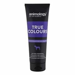 1 thumbnail image for ANIMOLOGY Šampon za intenzivniju boju krzna pasa True Colours 250ml