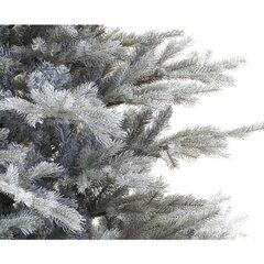 1 thumbnail image for Novogodišnja jelka Grandis fir frosted 210cm-150cm (2326 grana) - 68.1472-210