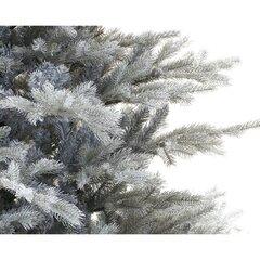1 thumbnail image for Novogodišnja jelka Grandis fir frosted 180cm-132cm (1564 grane) - 68.1471-180