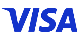 Visa card icon