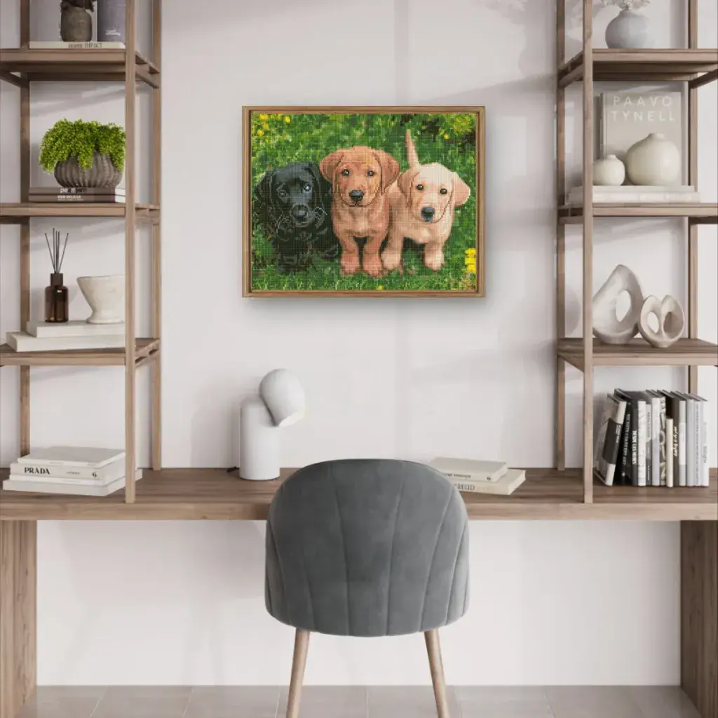 image for product