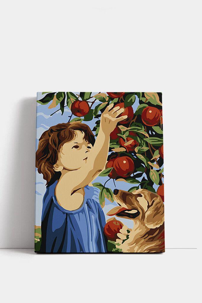 image for product