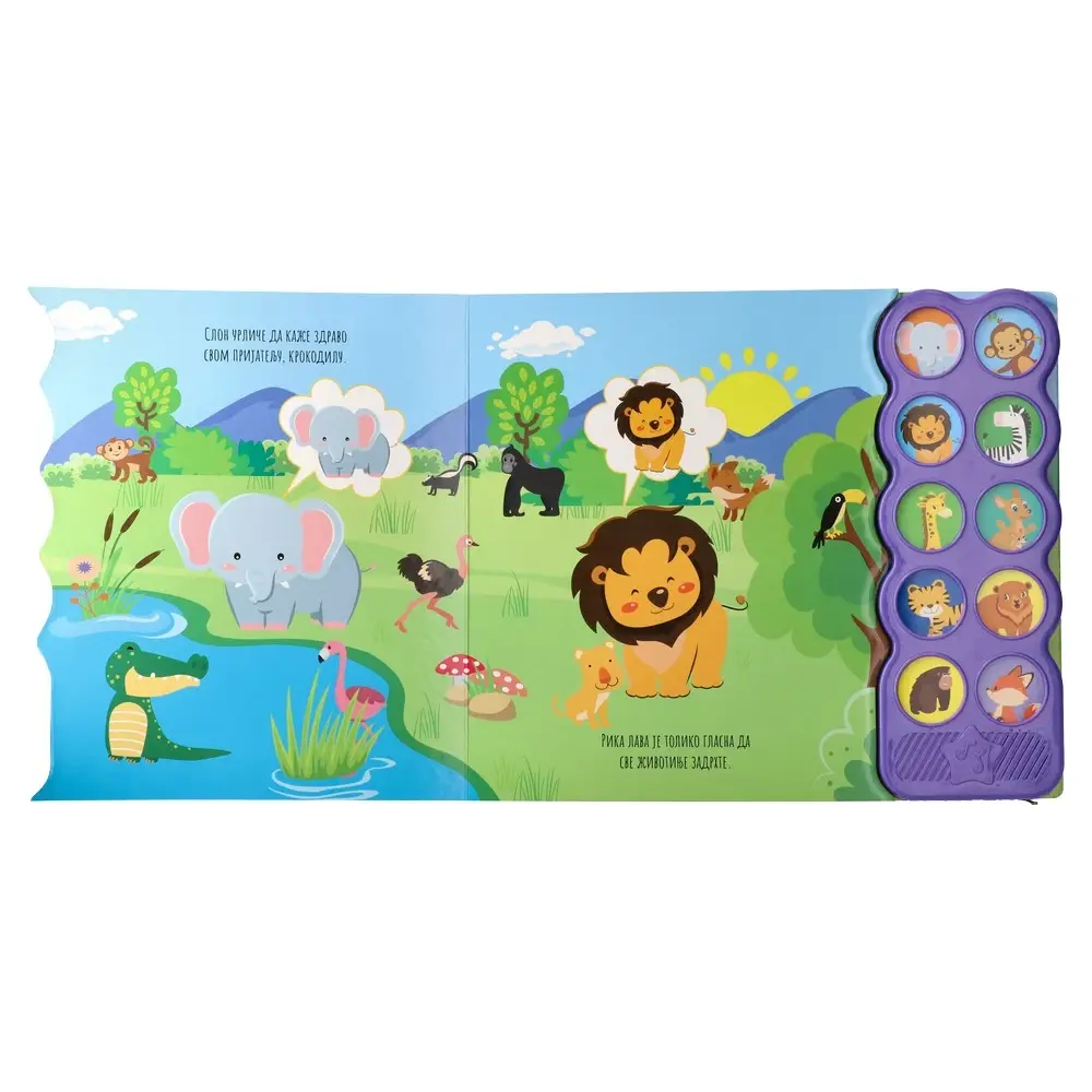image for product