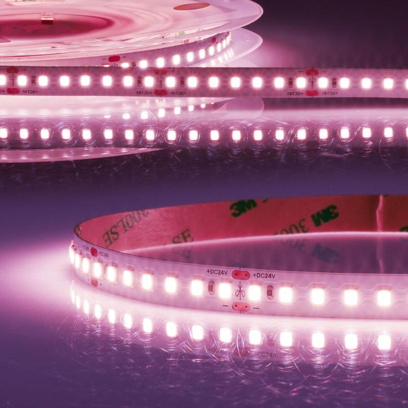 Led traka za meso 10W, 24V, IP20, 5m, Bela