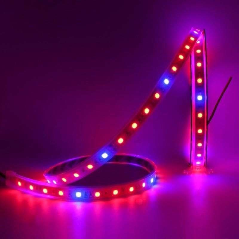 AURA-LIGHT Led traka za rast biljaka, 14.4W, 12V, IP65, 5m, Crveno-plava
