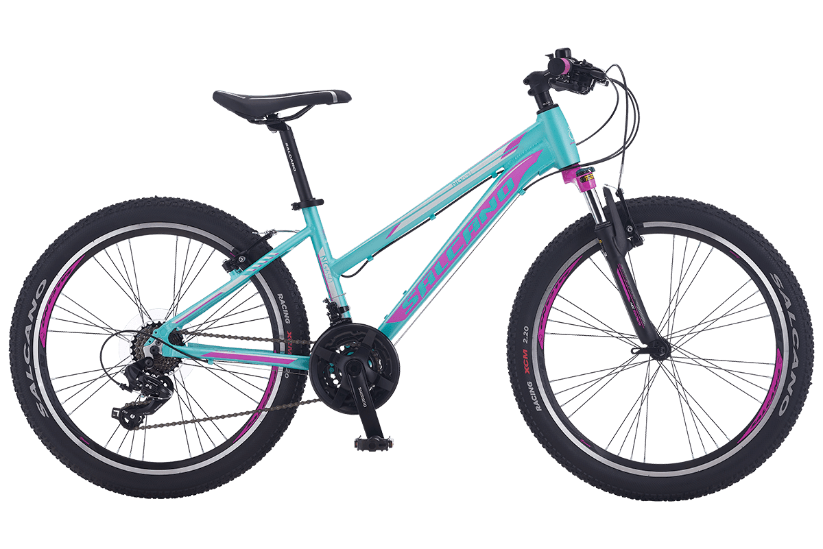 SALCANO Ženski bicikl Lady NG650 26 HD 16", Zeleno - roze