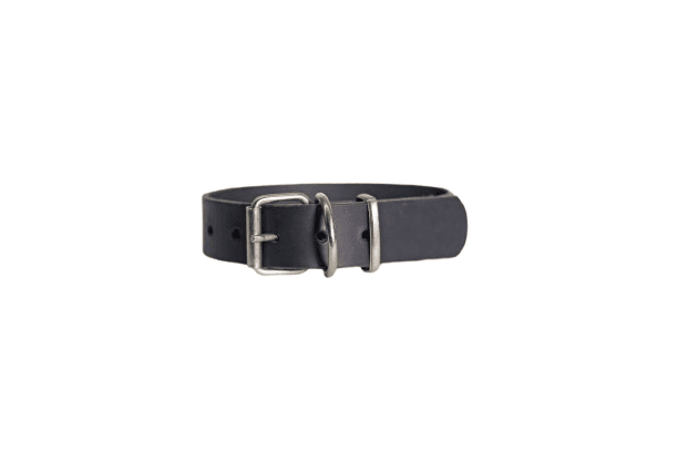 ALEXA LEATHER Ogrlica za pse Stylish, 30mm, Crna