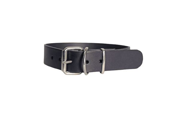 ALEXA LEATHER Ogrlica za pse Stylish, 40mm, Crna