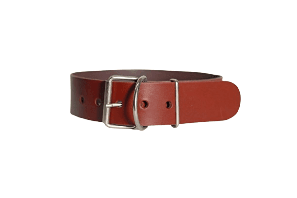 ALEXA LEATHER Ogrlica za pse Stylish, 50mm, Braon