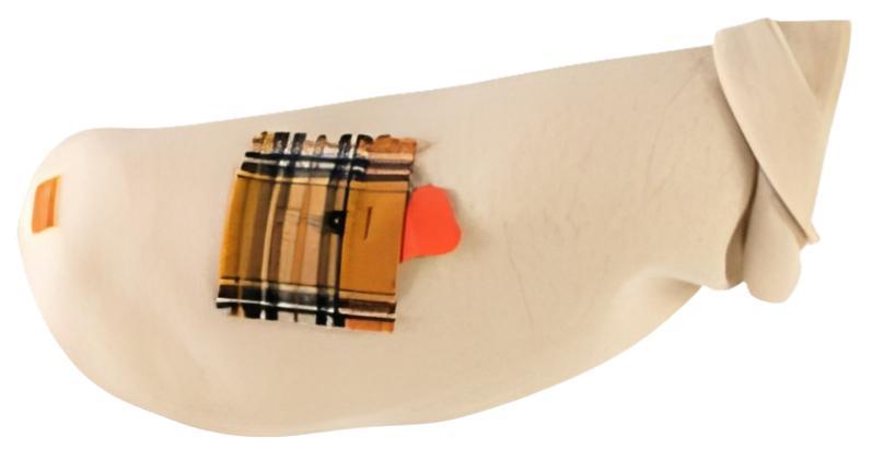 image for product